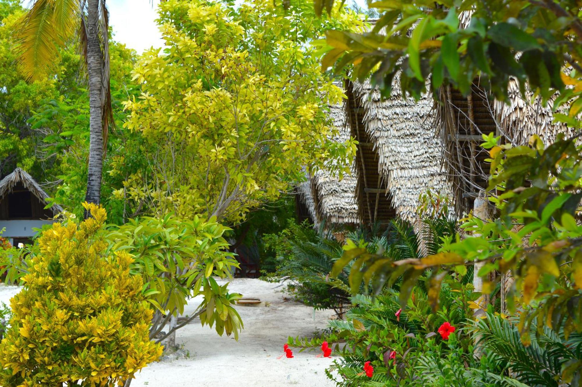 New Jambo Bungalows Paje Ngoại thất bức ảnh