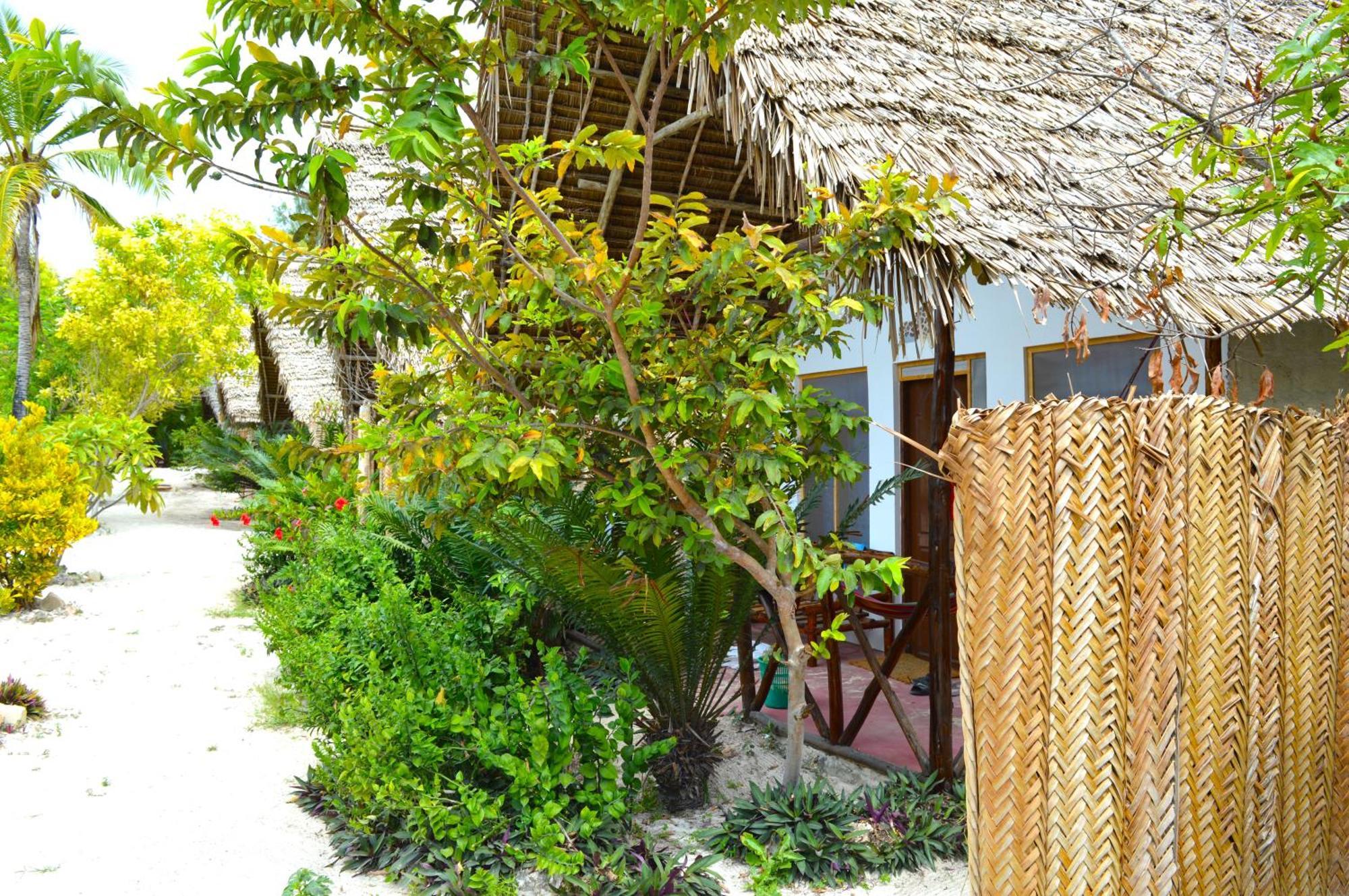 New Jambo Bungalows Paje Ngoại thất bức ảnh