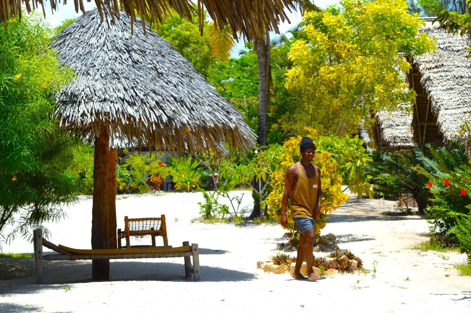 New Jambo Bungalows Paje Ngoại thất bức ảnh