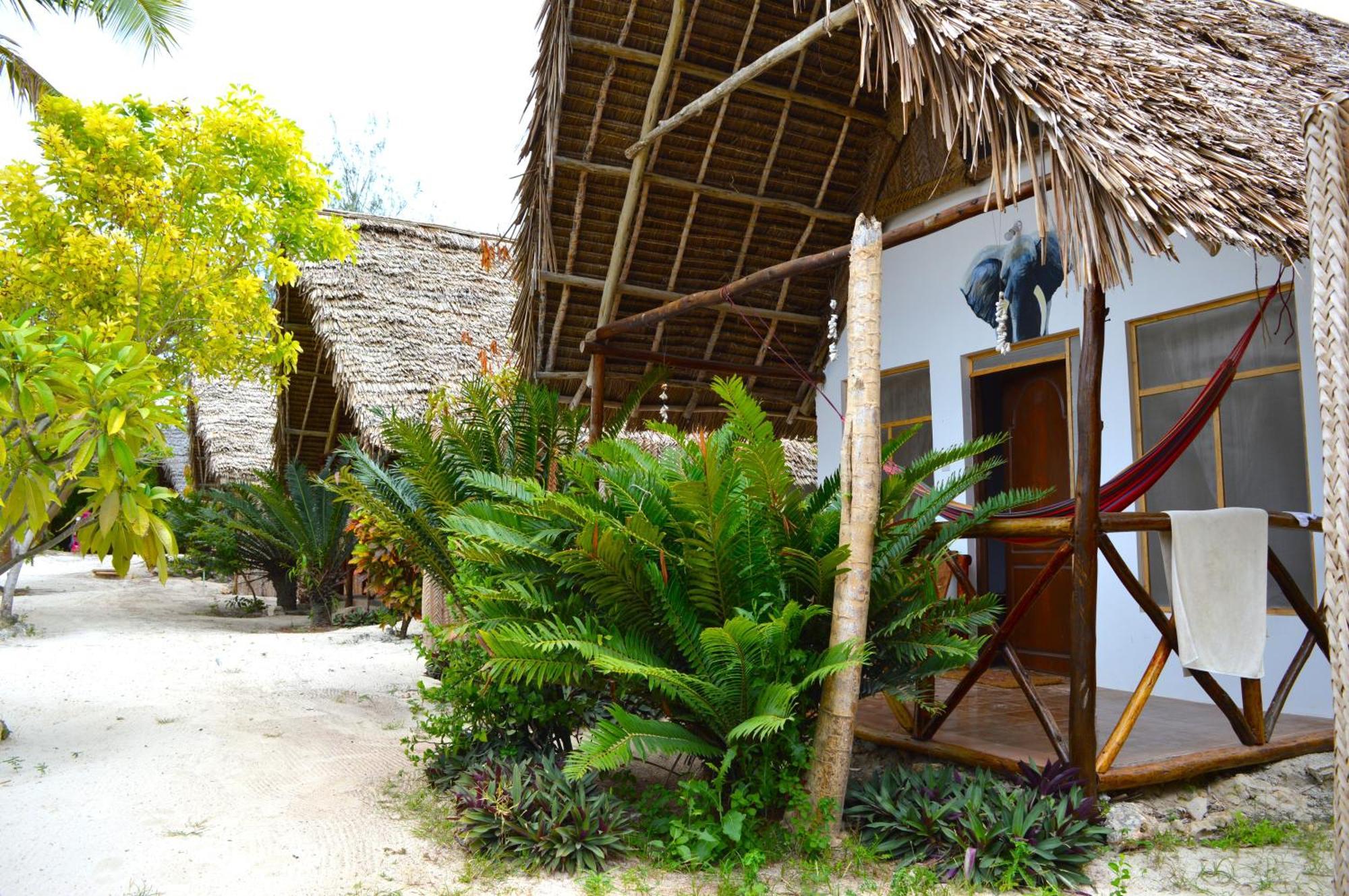 New Jambo Bungalows Paje Ngoại thất bức ảnh