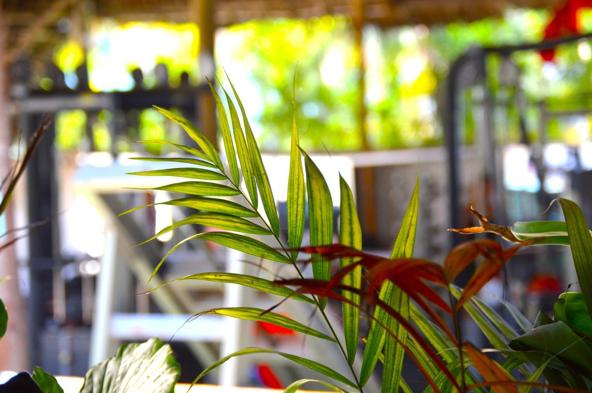 New Jambo Bungalows Paje Ngoại thất bức ảnh