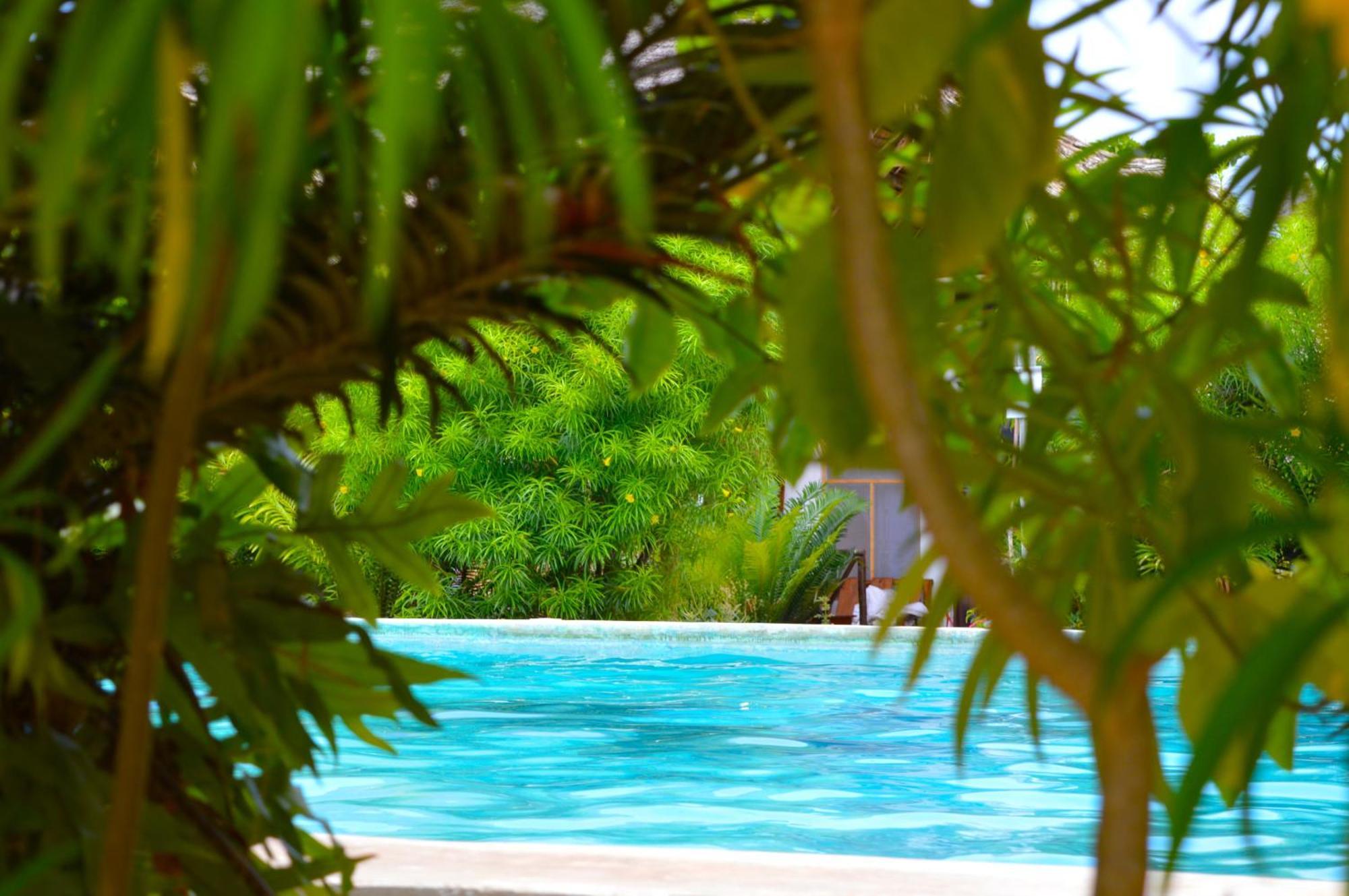 New Jambo Bungalows Paje Ngoại thất bức ảnh