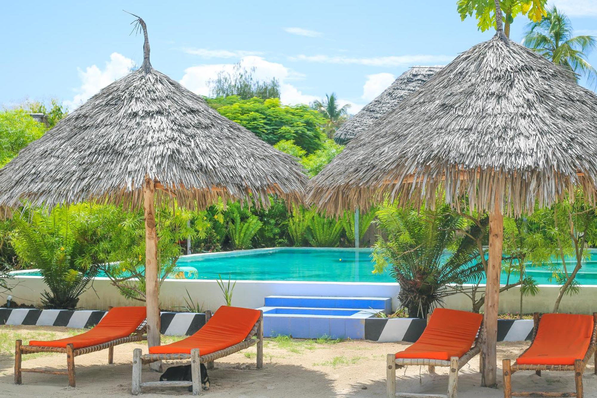 New Jambo Bungalows Paje Ngoại thất bức ảnh