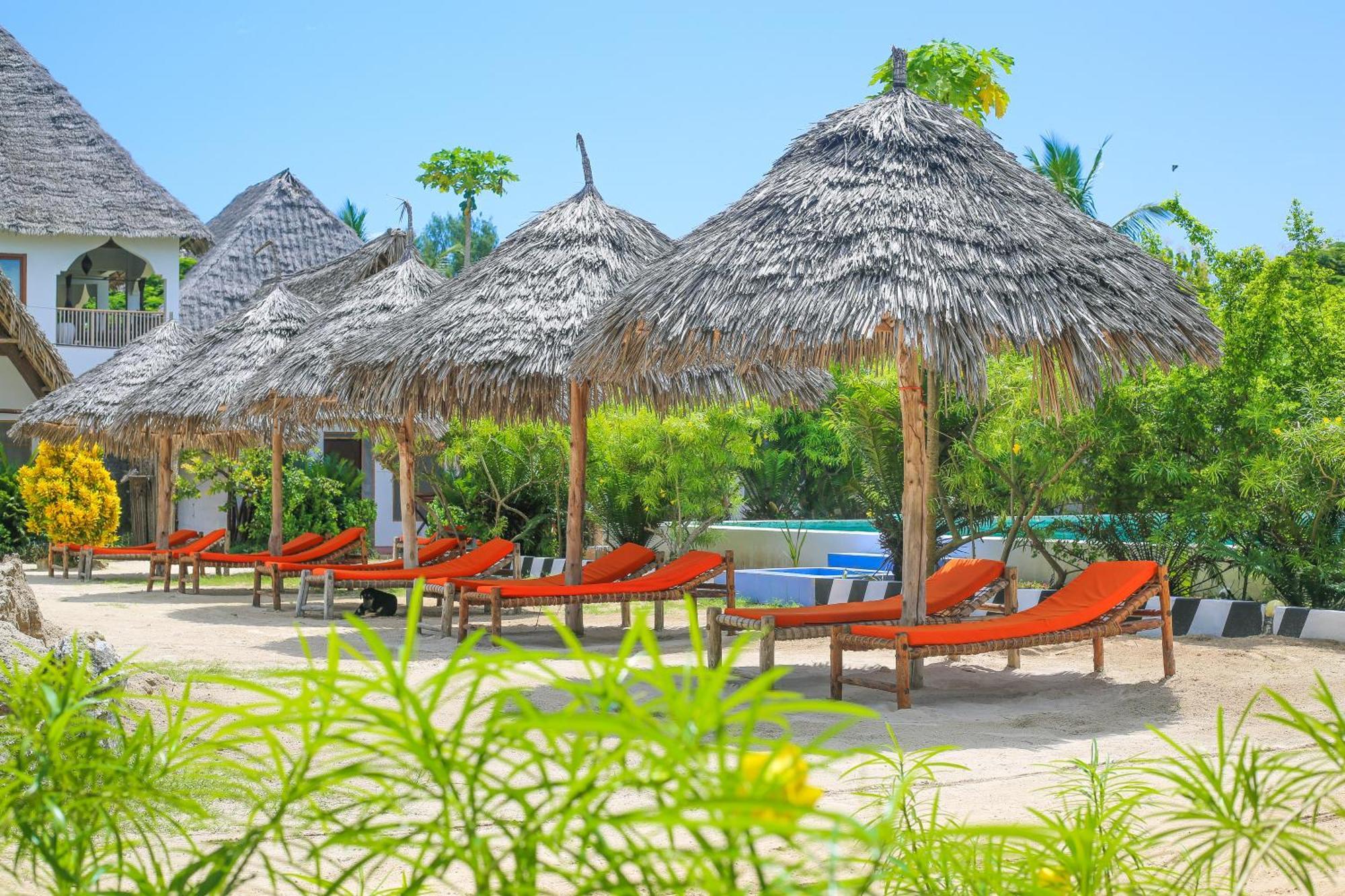 New Jambo Bungalows Paje Ngoại thất bức ảnh