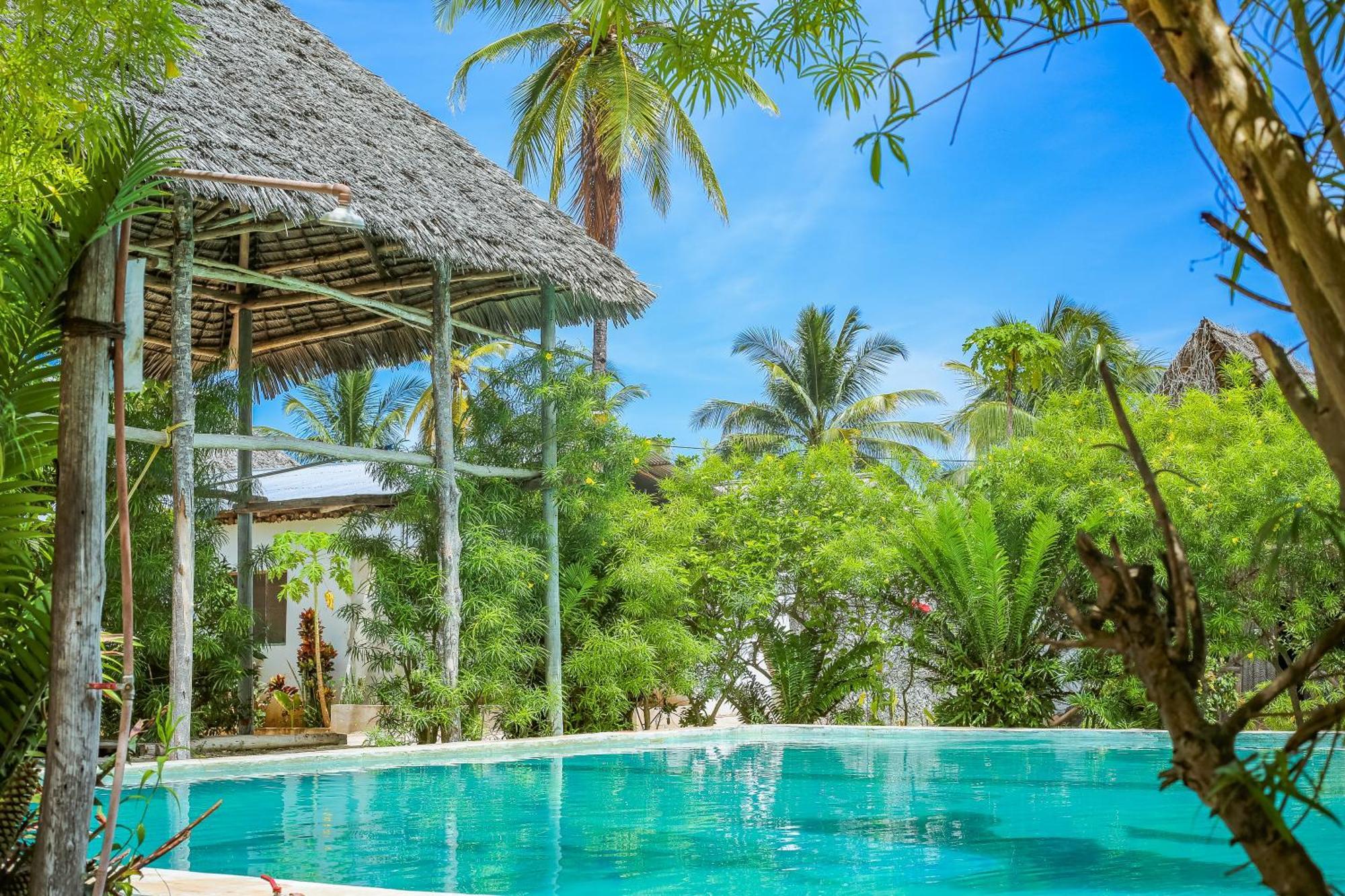 New Jambo Bungalows Paje Ngoại thất bức ảnh